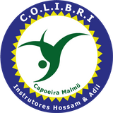 C.O.L.I.B.R.I - Capoeira Malmö